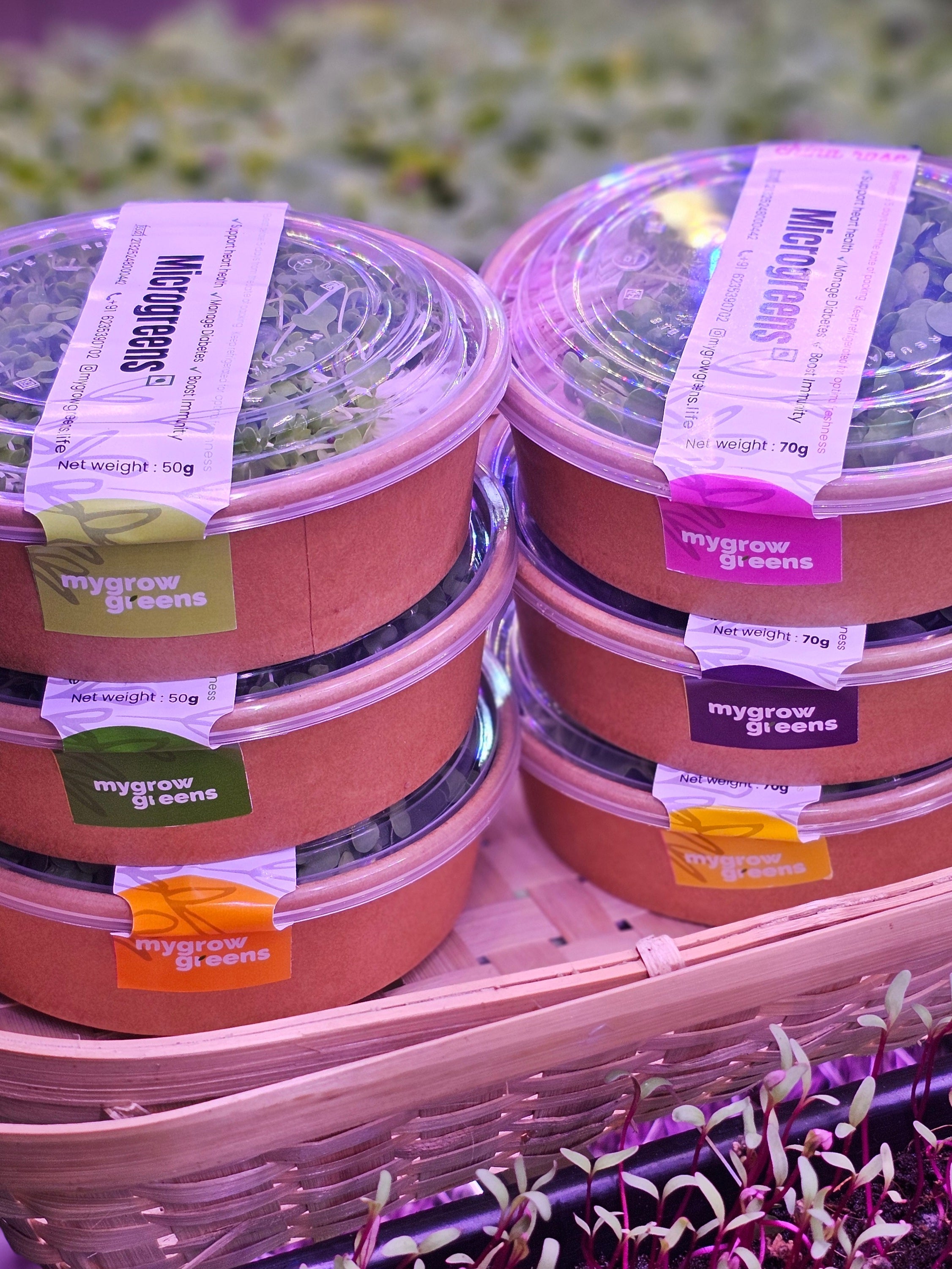 Why MyGrowGreens Is Wayanad's Best Bet for Fresh, Functional Farming