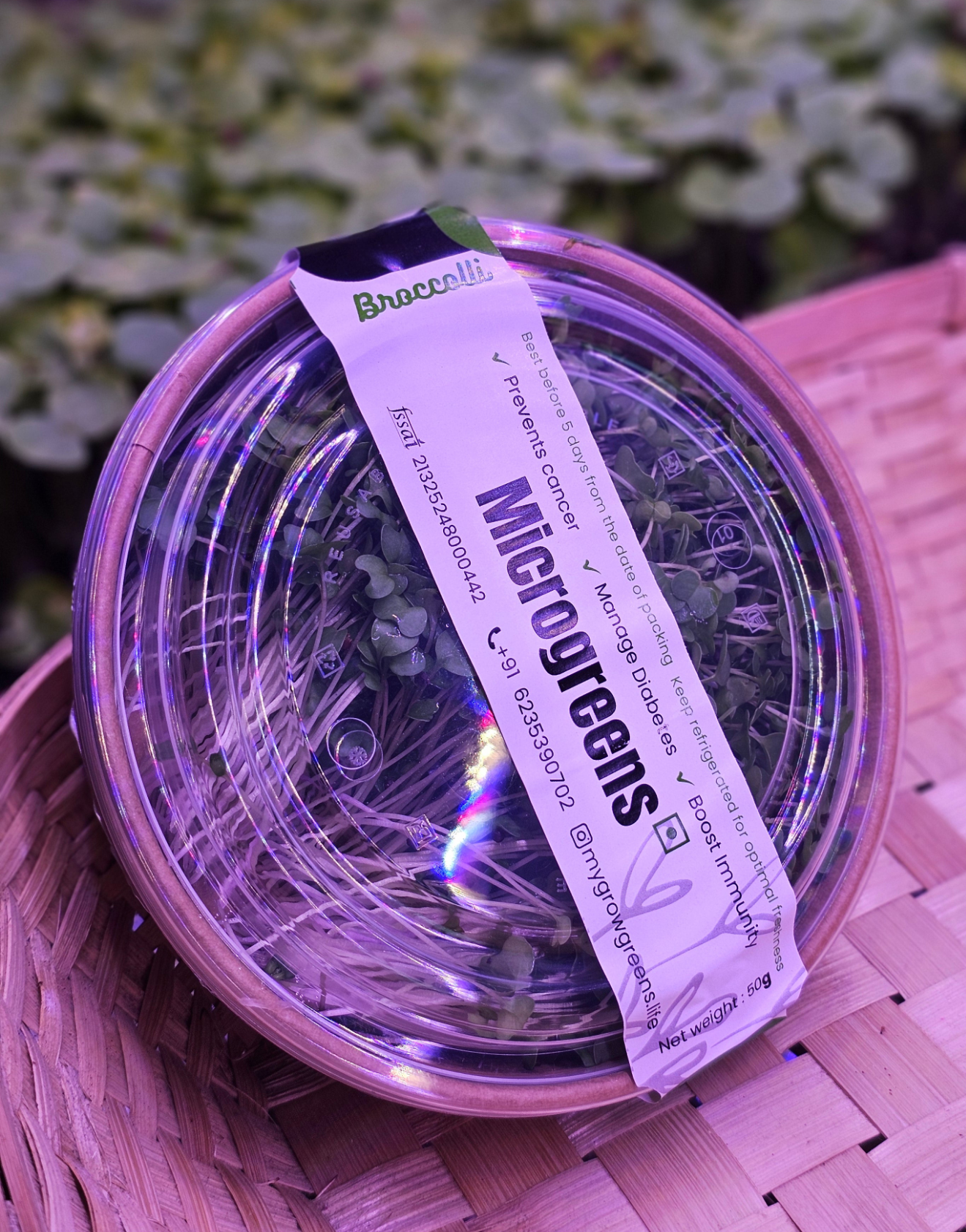 Brocolli microgreens