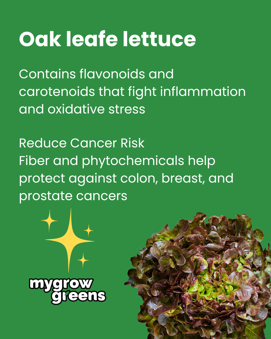 Pesticide-free salad box