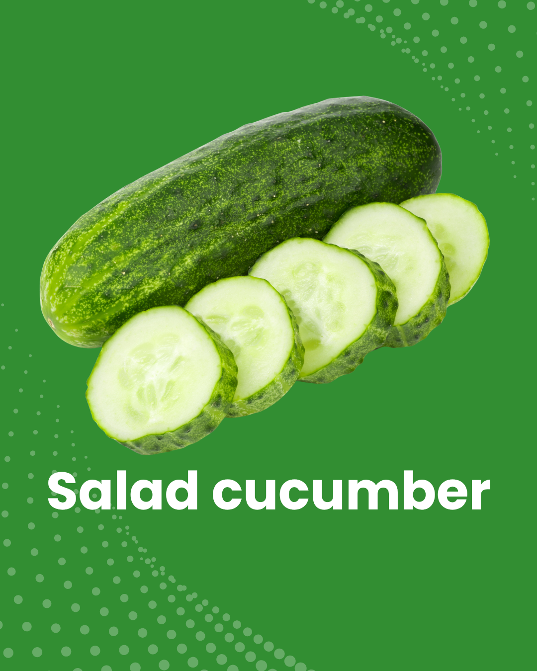 Salad cucumber