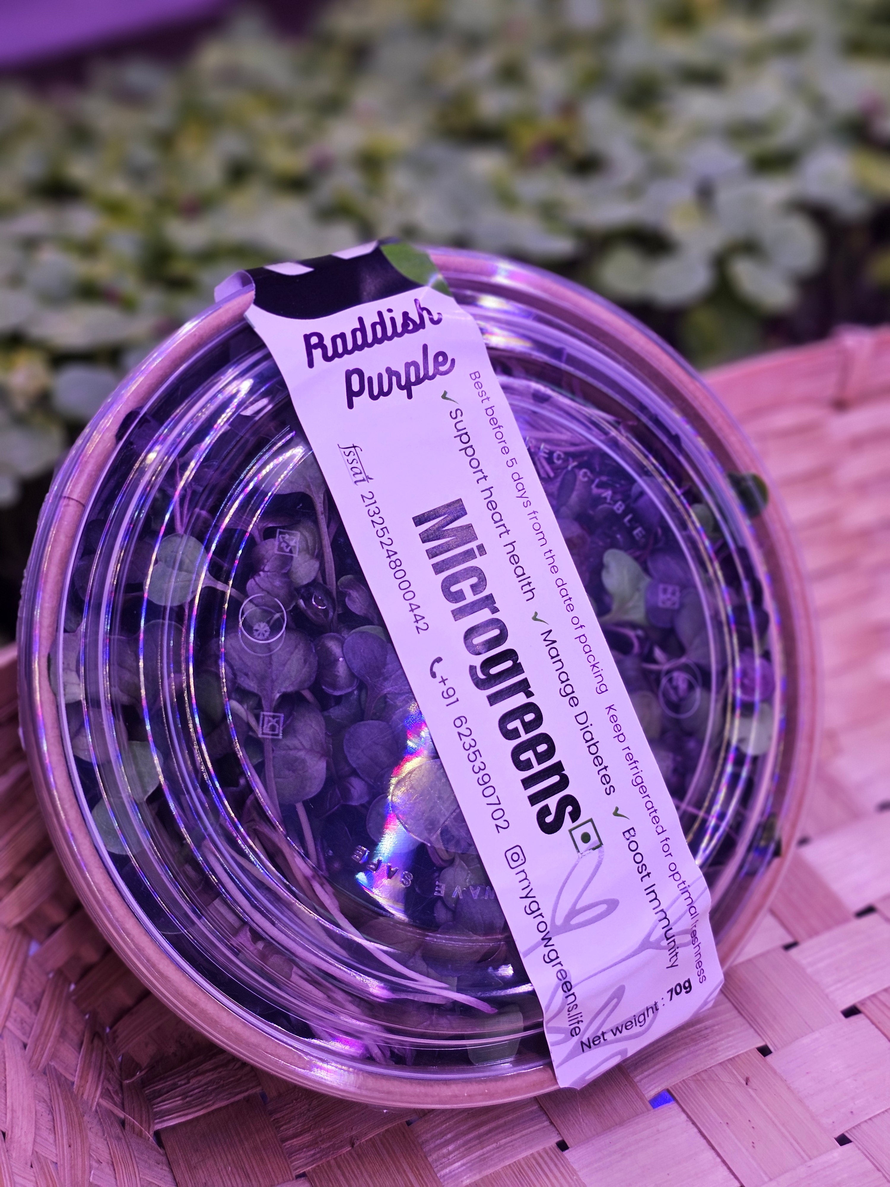 Raddish purple