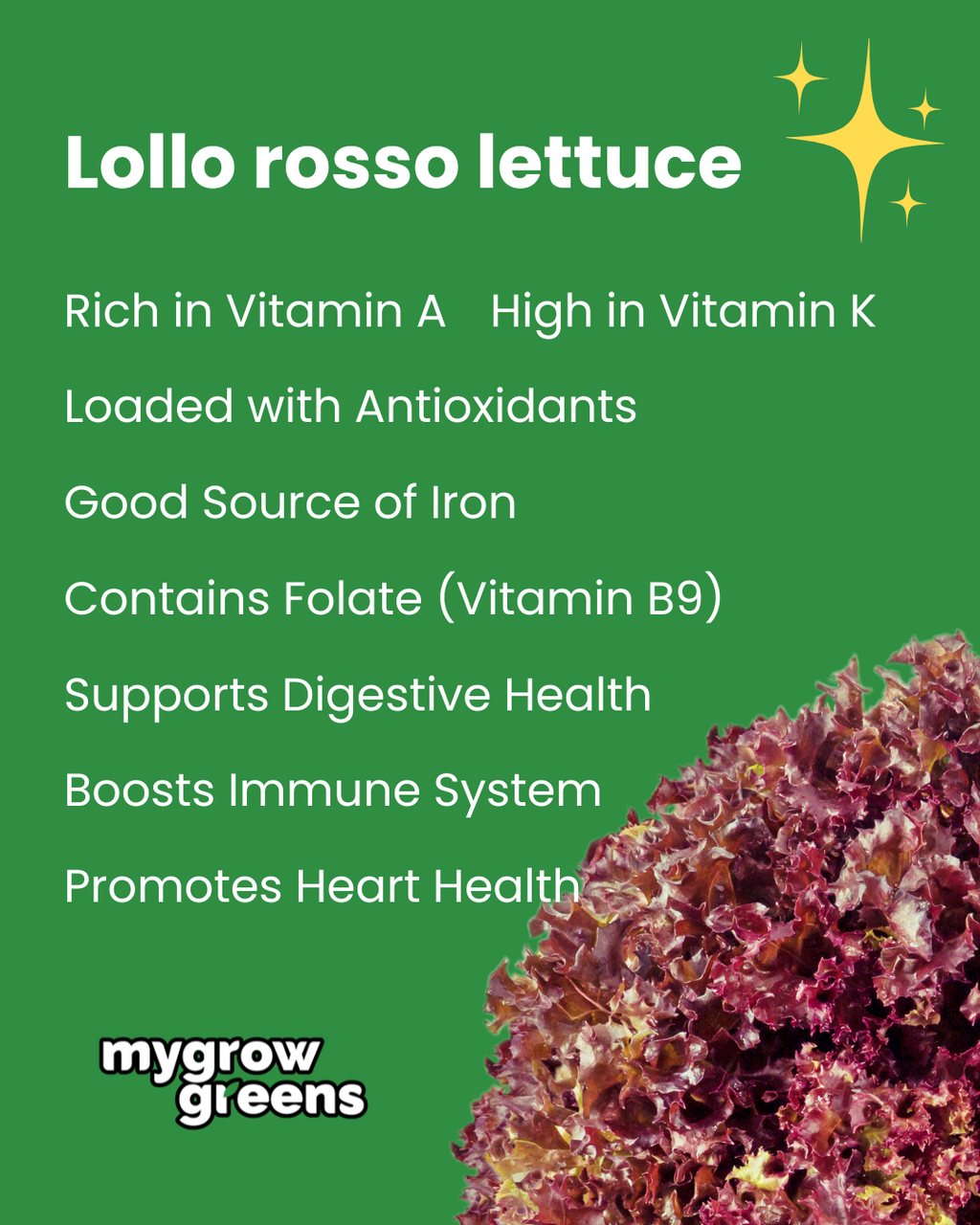 Pesticide-free salad box