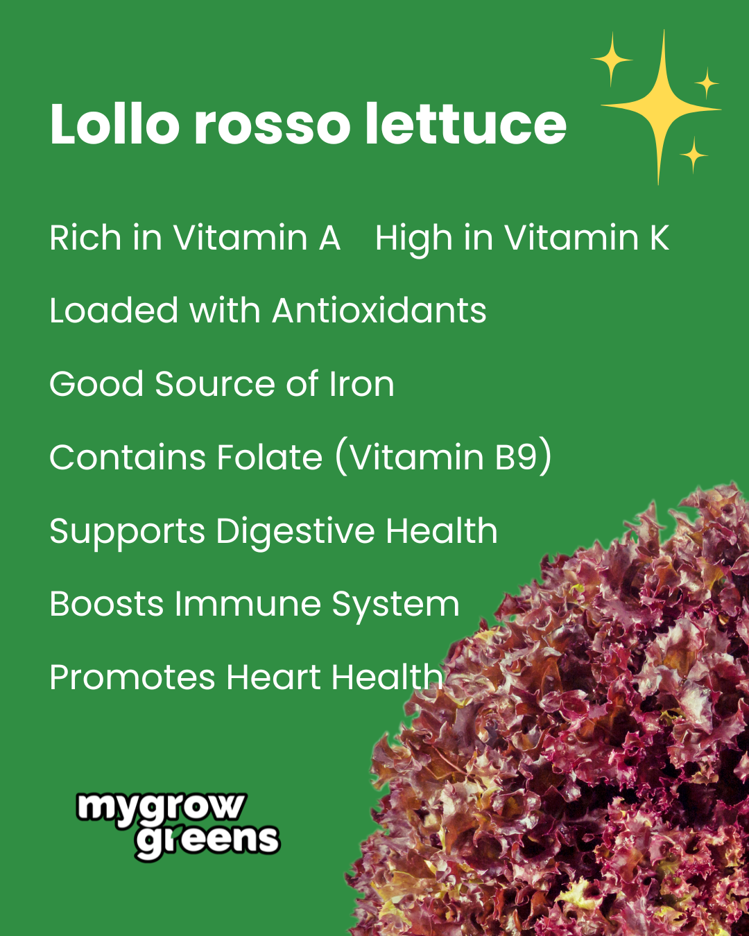 Pesticide-free salad box