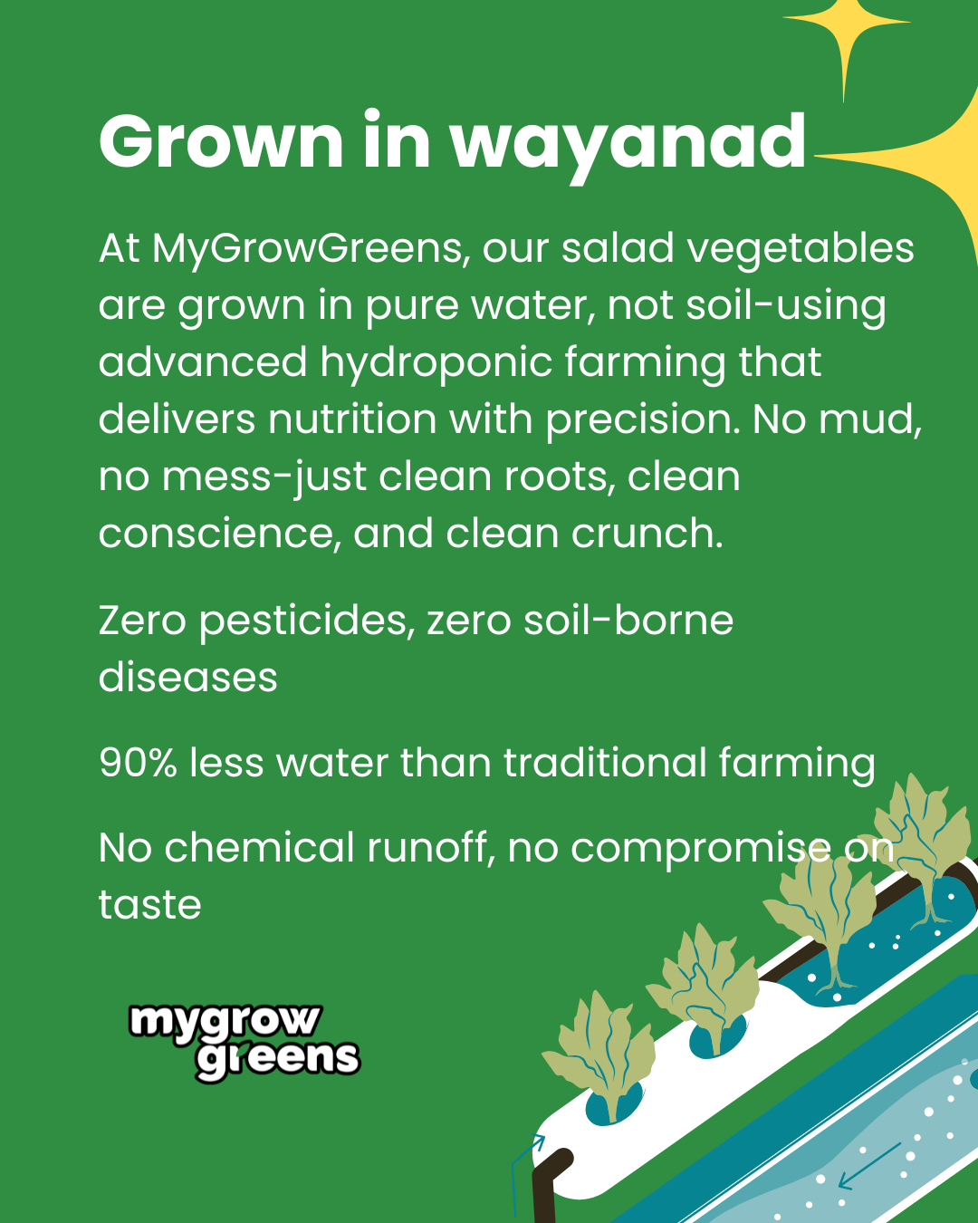 Pesticide-free salad box
