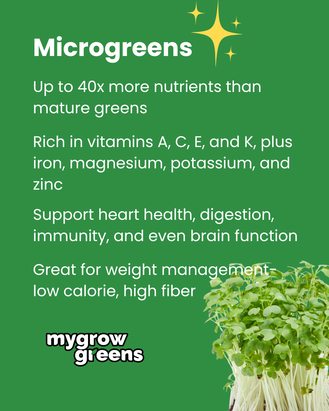 Pesticide-free salad box
