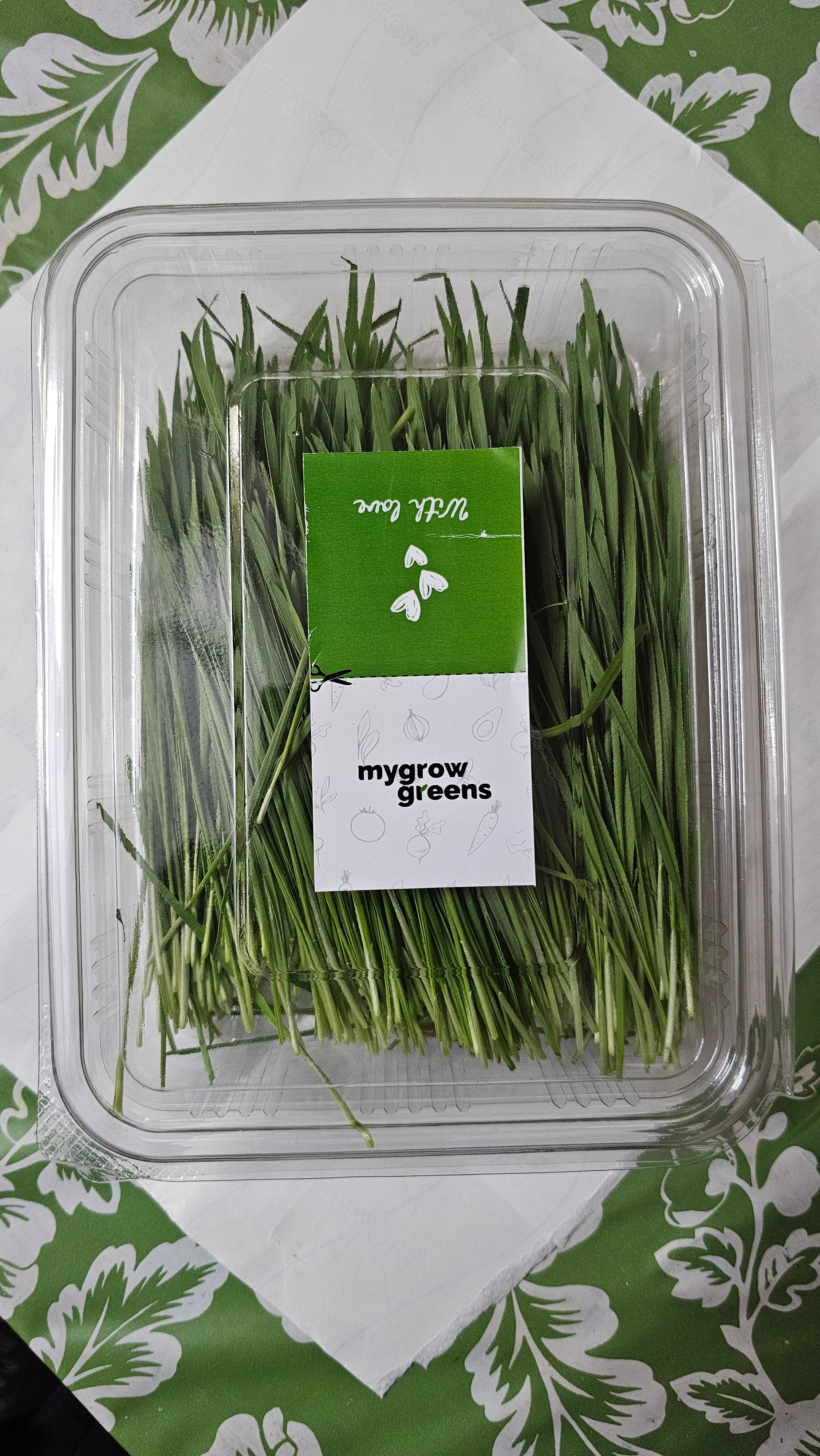 Wheat grass